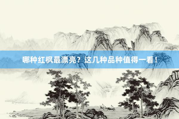 哪种红枫最漂亮？这几种品种值得一看！